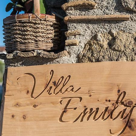 Villa Emily Zakynthos Tsilivi (Zakynthos) Exterior foto